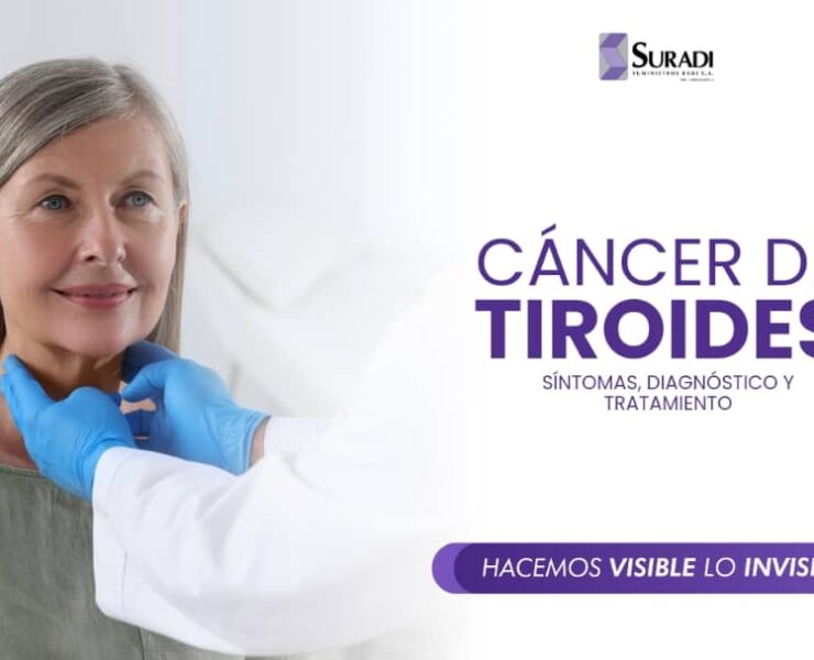 WhatsApp Image 2024-09-05 at 11.53.37 AM