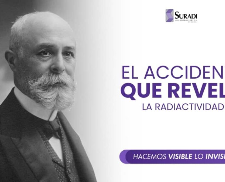 WhatsApp Image 2024-09-10 at 2.04.43 PM (4)