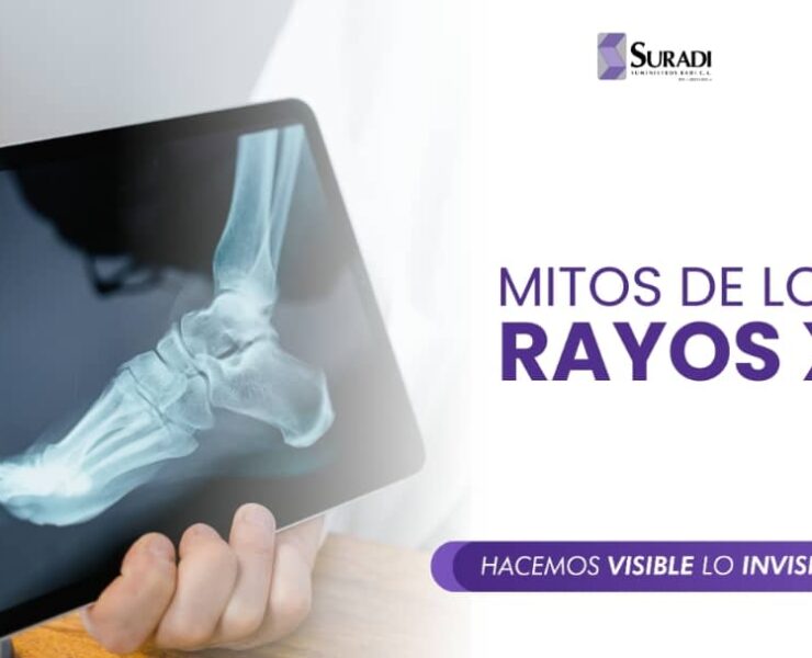 WhatsApp Image 2024-09-10 at 3.21.28 PM